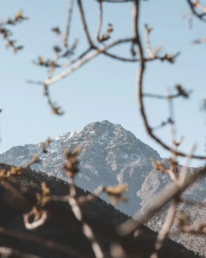 A breathtaking view of the Atlas Mountains framed by blurred tree branches, capturing natural beauty.