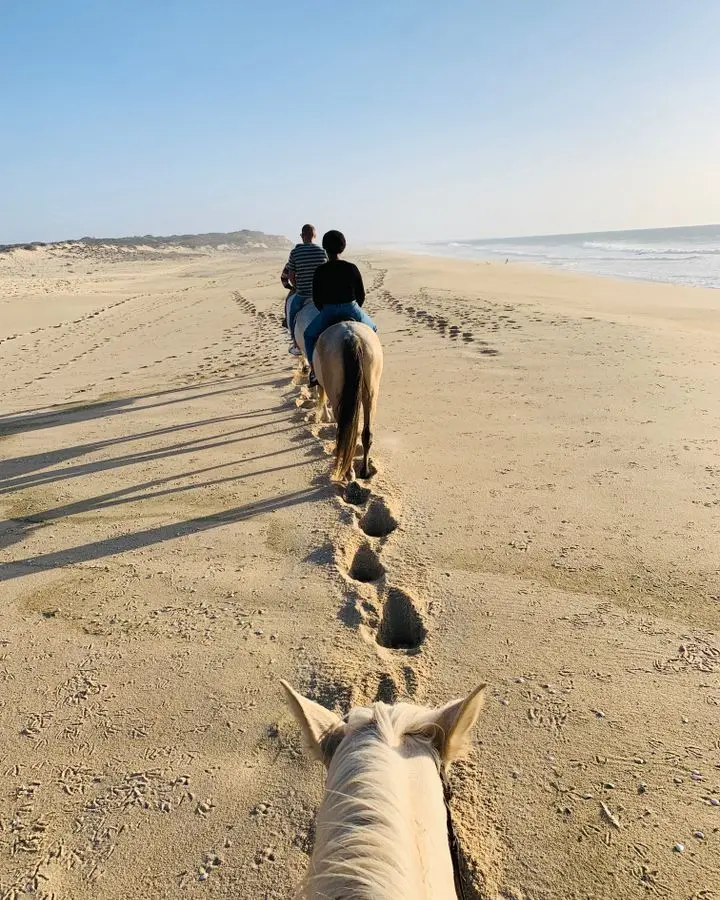 Back view of people in dark clothes riding white horses along sandy seashore on sunny day and leaving trail