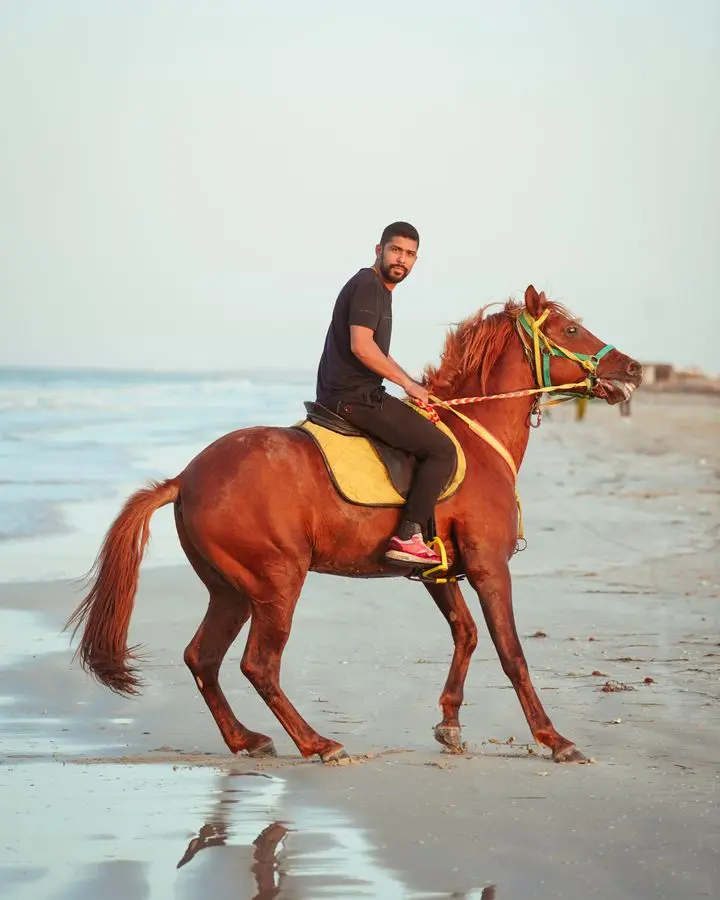 A man riding a chestnut horse along the sandy beach during the day.