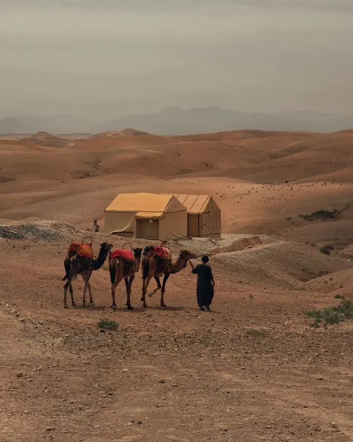 A person with camels walks through a barren desert with tents in the background under an overcast sky.