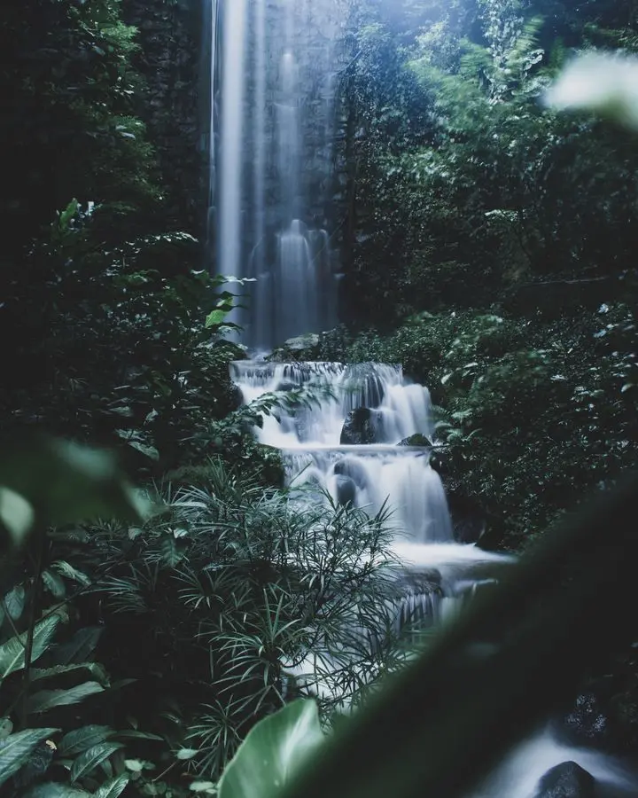 Beautiful waterfall cascading through lush greenery in Singapore's tropical forest.