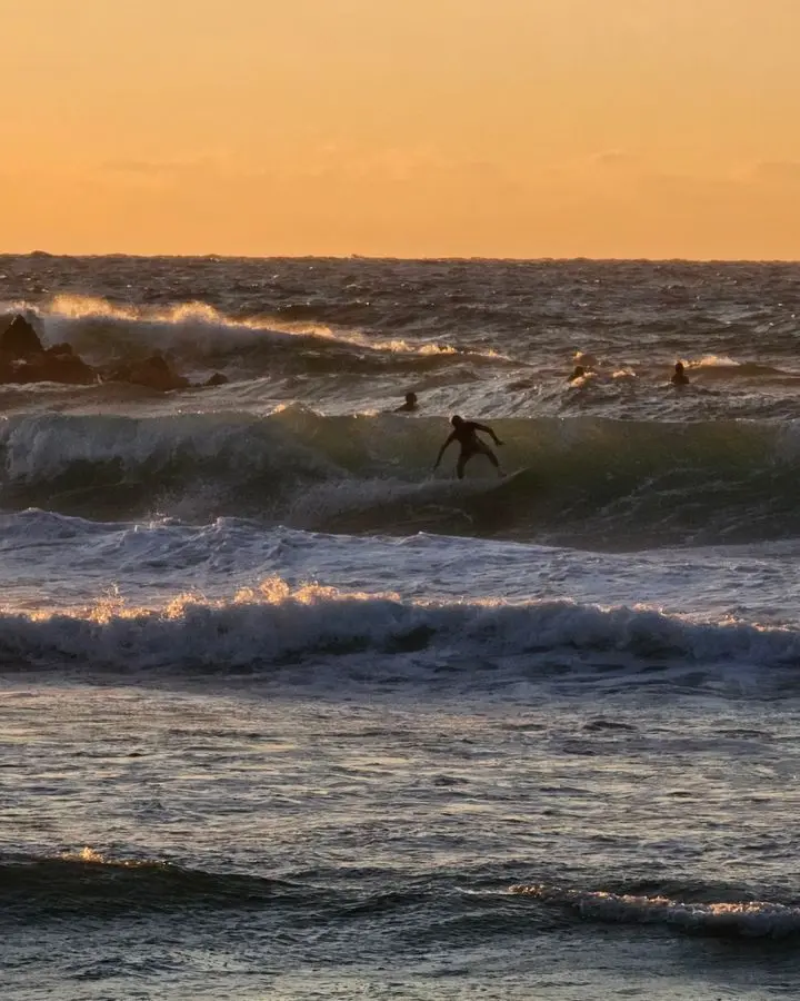 Surfers ride waves at sunset with rocky backdrop and golden sky, capturing the thrill of ocean sports.