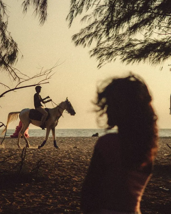 A tranquil scene of horseback riding on the beach during sunset with natural silhouettes.