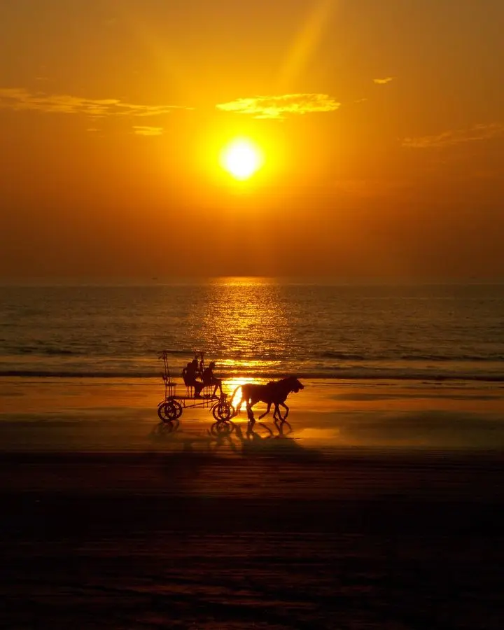 A serene sunset with a horse-drawn carriage silhouetted on a tranquil beach, capturing the golden hues of dusk.