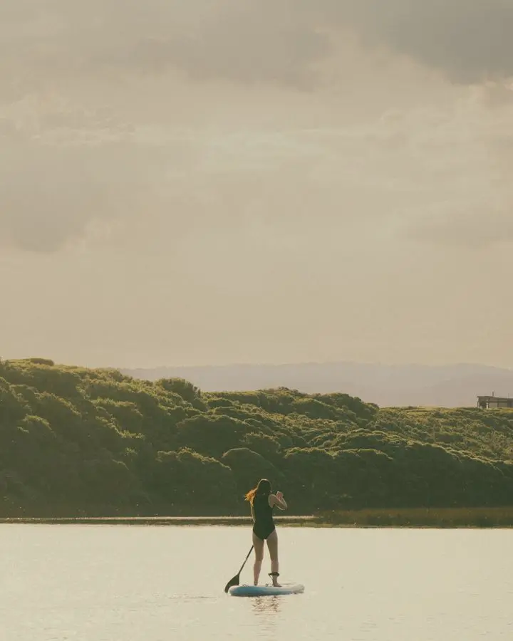 A woman gracefully paddleboarding on a calm sea bay surrounded by summer greenery.