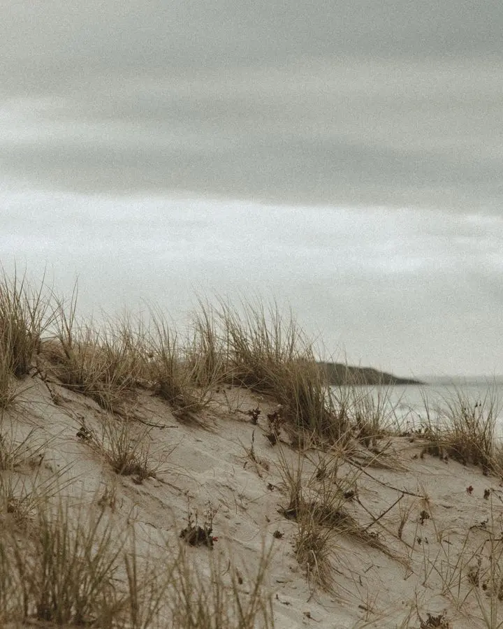 Tranquil beach scene with sand dunes and grass under a cloudy sky.