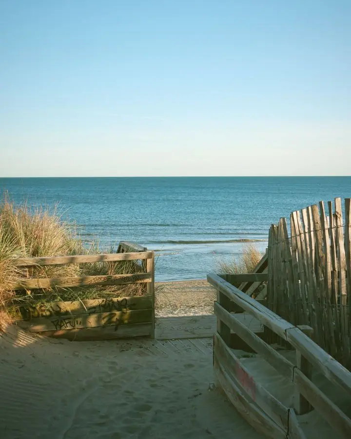 Serene beach access with a path leading to the calm sea under a clear sky.